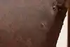 Thumbnail image 15