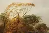 Thumbnail image 9