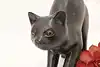 Thumbnail image 2