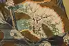 Thumbnail image 10