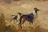 Thumbnail image 9