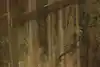 Thumbnail image 11