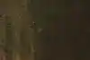 Thumbnail image 14