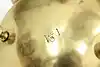 Thumbnail image 10