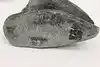 Thumbnail image 9