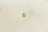 Thumbnail image 9