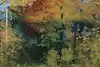 Thumbnail image 5