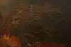 Thumbnail image 9