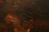 Thumbnail image 10