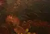 Thumbnail image 8