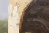 Thumbnail image 9