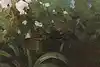 Thumbnail image 10