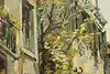 Thumbnail image 10