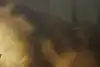 Thumbnail image 10