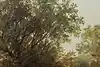 Thumbnail image 9