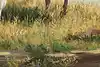Thumbnail image 10