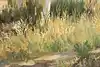 Thumbnail image 12
