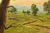 Thumbnail image 8