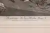 Thumbnail image 11