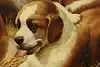 Thumbnail image 10