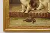 Thumbnail image 5