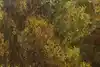 Thumbnail image 10