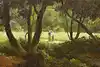 Thumbnail image 7