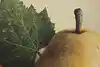 Thumbnail image 9