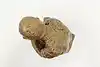 Thumbnail image 7