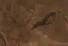 Thumbnail image 5