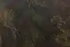 Thumbnail image 14