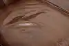 Thumbnail image 20