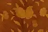 Thumbnail image 19