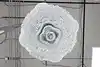 Thumbnail image 12