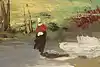 Thumbnail image 7