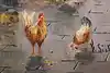 Thumbnail image 7
