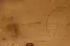 Thumbnail image 12