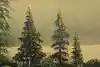 Thumbnail image 10
