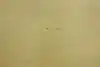 Thumbnail image 13
