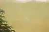 Thumbnail image 15