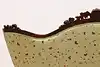 Thumbnail image 13