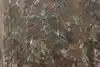 Thumbnail image 13