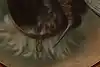 Thumbnail image 6