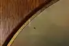 Thumbnail image 8