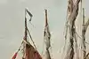 Thumbnail image 8