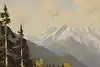 Thumbnail image 10