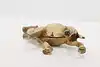 Thumbnail image 7