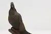 Thumbnail image 3