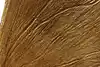 Thumbnail image 16