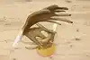 Thumbnail image 17